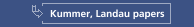 Kummer, Landau papers