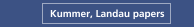 Kummer, Landau papers