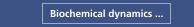 Biochemical dynamics ...
